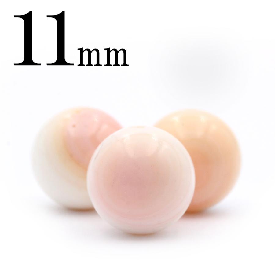 Lucky365 1粒売り 天然石 クィーンコンクシェル 12mm t1401 : 天然石 