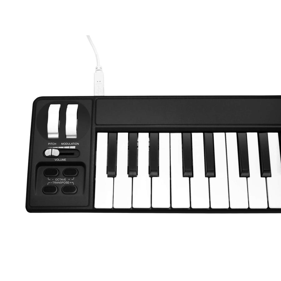 MIDIPLUS AKM320 USB MIDI Keyboard Controller, Black, 32 key 並行輸入品｜lucky39｜04