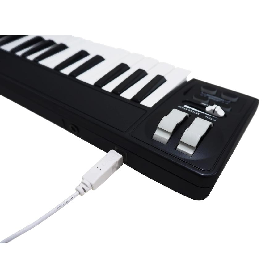 MIDIPLUS AKM320 USB MIDI Keyboard Controller, Black, 32 key 並行輸入品｜lucky39｜10