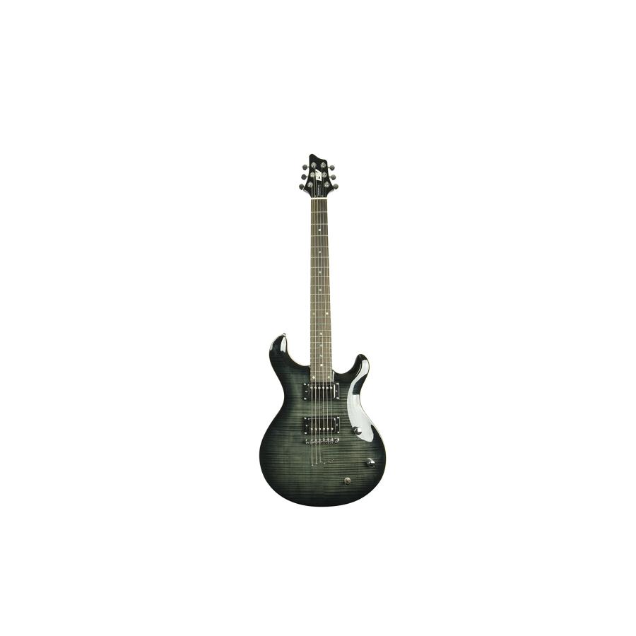 ivy 6弦 IYV IP 350 TBK PRS ソリッドボディエレキギター トランス 