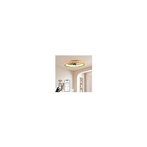 格安販売 オンライン WenineStar 20” Ceiling Fan with Light, Dimmable LED Timing with 並行輸入品