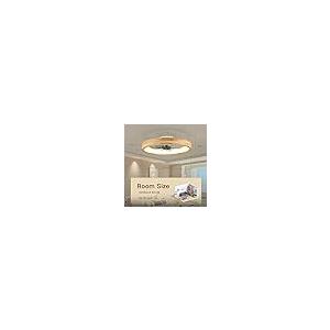 格安販売 オンライン WenineStar 20” Ceiling Fan with Light, Dimmable LED Timing with 並行輸入品