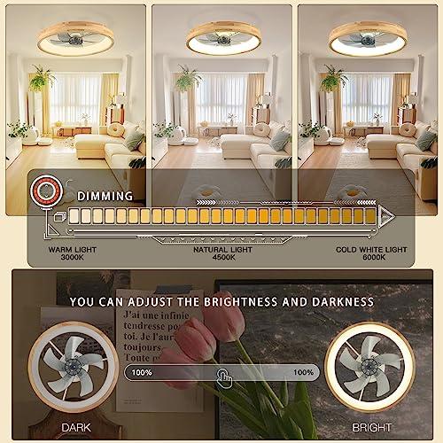 格安販売 オンライン WenineStar 20” Ceiling Fan with Light, Dimmable LED Timing with 並行輸入品