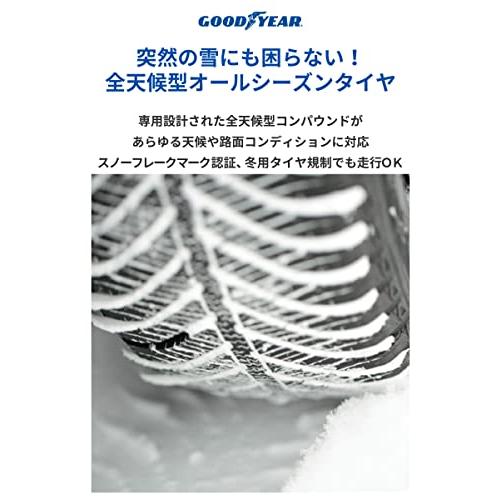 グッドイヤー　195　65R15　91H　Vector　オールシーズンタイヤ　4本セット　Hybrid　05609582　4Seasons　突然の雪で