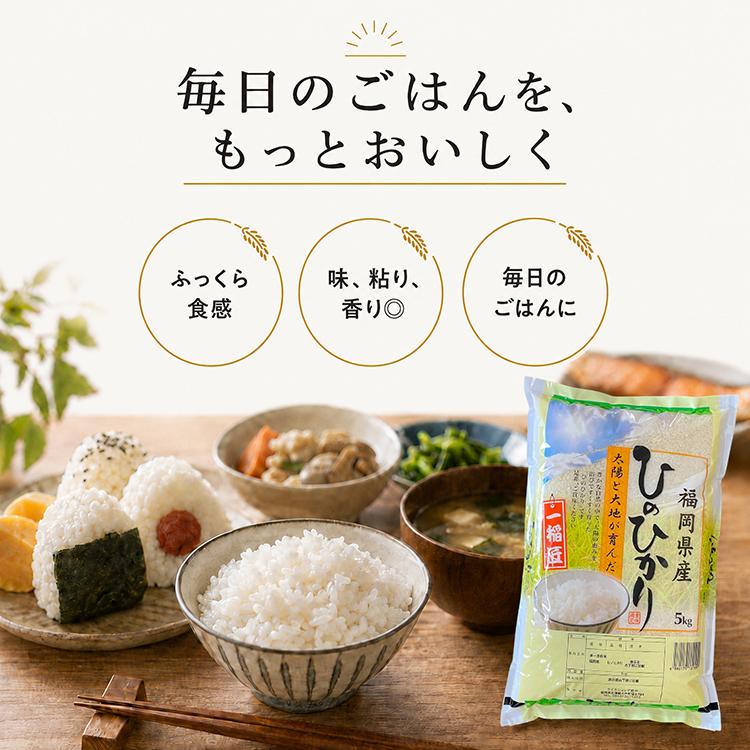 残り1つ‼️ 米 ヒノヒカリ 20kg 令和7年度 新米ヒノヒカリ20kg(玄米