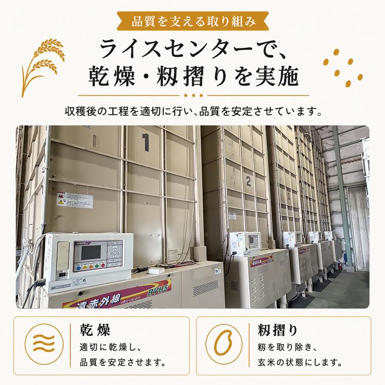 ヒノヒカリ ひのひかり 福岡県産ヒノヒカリ 20kg 令和7年産 単一原料米