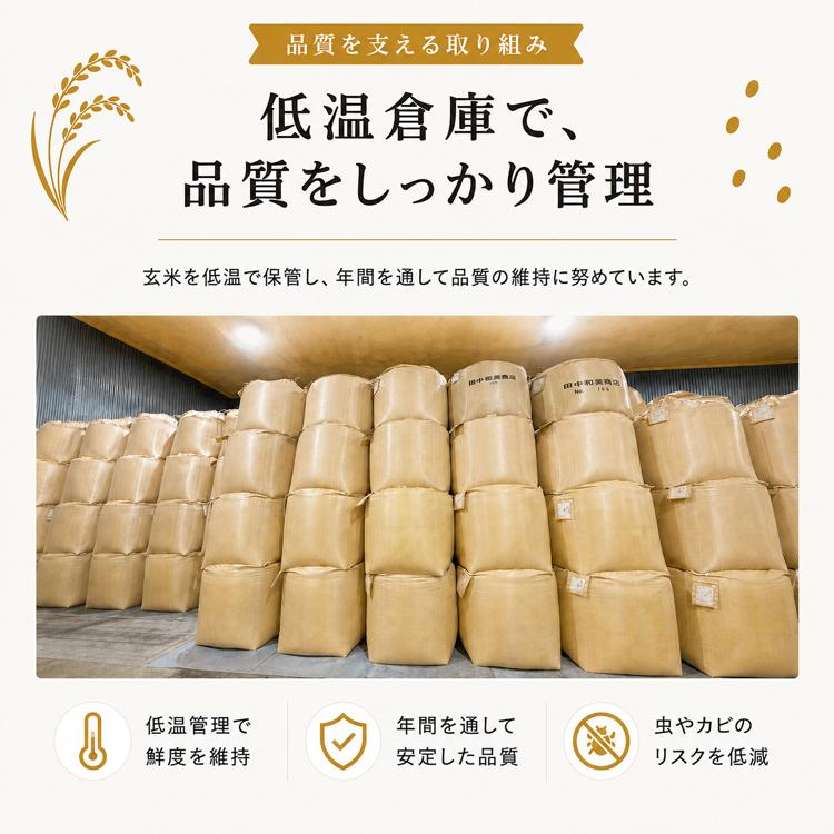 ヒノヒカリ ひのひかり 福岡県産ヒノヒカリ 20kg 令和7年産 単一原料米