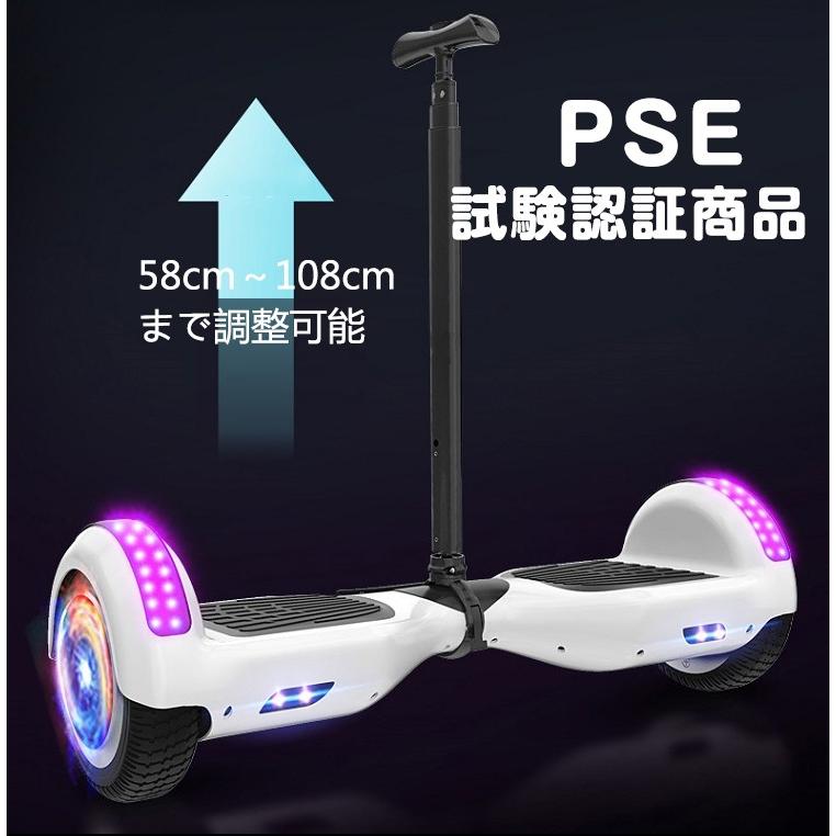 N*L様 ミニセグウェイ　セグウェイ　電動スケボー 紫色 充電器・マニュアル付き N*L様 ミニセグウェイ セグウェイ 電動スケボー 紫色 充電器