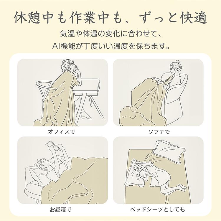 電気毛布 ふわとろ 2枚合わせ 厚手 ダブル 洗える 電気敷き毛布 電気
