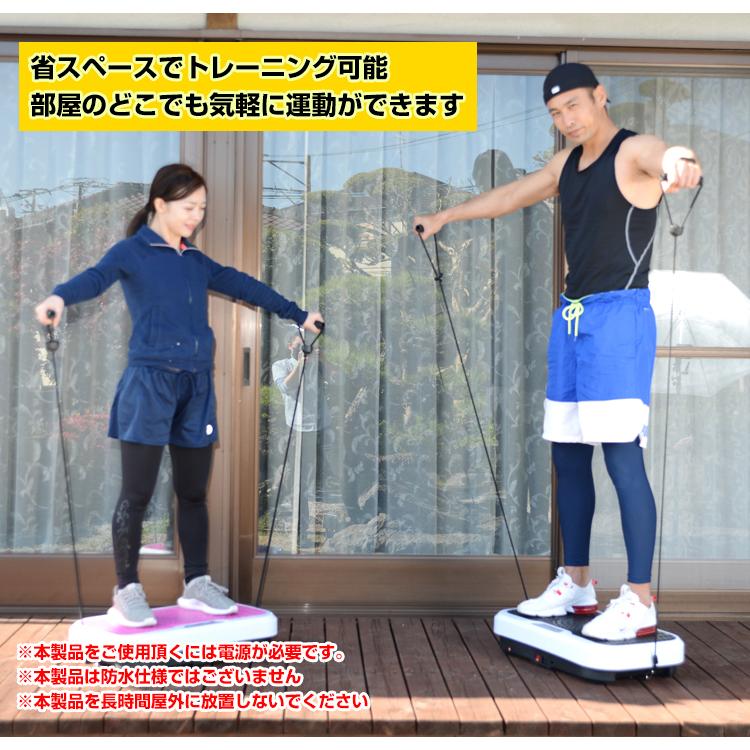 フィットネスマシン 振動 乗るだけ バランス 健康 器具 体幹