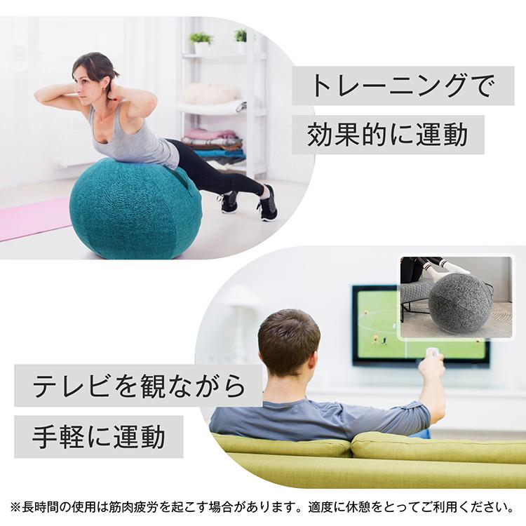 バランスボール 65cm 布カバー付き 空気入れ付き ファブリック