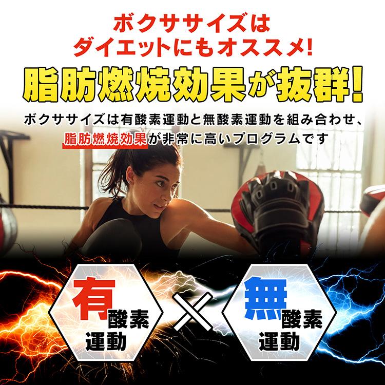 パンチングバッグ 15kg ボクシング サンドバッグ 自宅トレーニング 筋トレ サンドバッグ サンドバック パンチングバッグ 自立 スタンディング