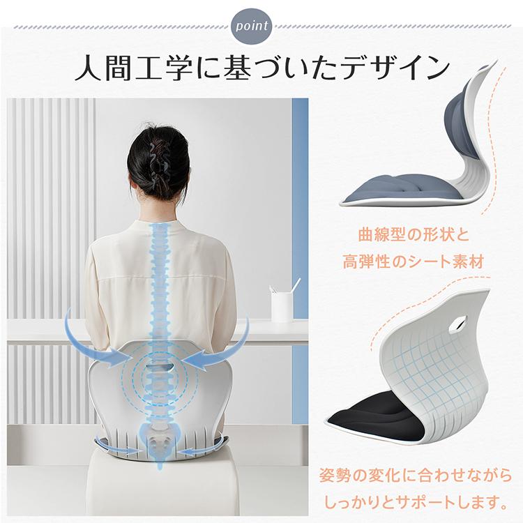 サカモトチェア　正規品 Amazon.co.jp: バランスラボ バランスイージー 通常フレーム