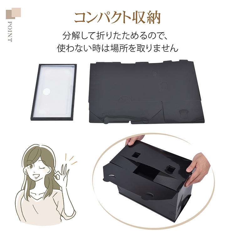 シューズボックス 2個セット シューズケース クリア シューズラック