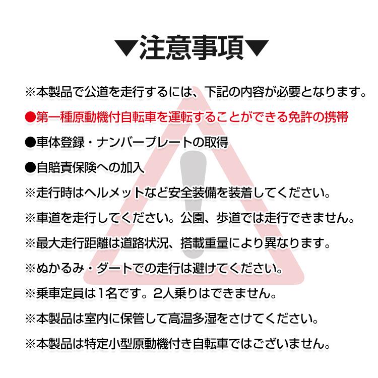 電動キックボード 公道 仕様 走行可 免許 保安部品標準装備 電動キックボード 公道 仕様 走行可 免許 保安部品標準装備