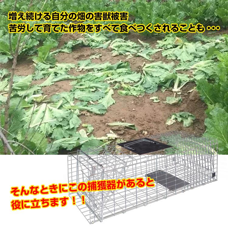 捕獲器アクリル板　Mサイズ　人工芝セット 捕獲器 踏み板式 Mサイズ 折りたたみ 全長65.5cm アニマル トラップ