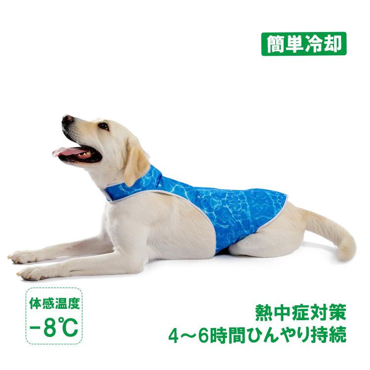 子供向けの中型犬ベスト10