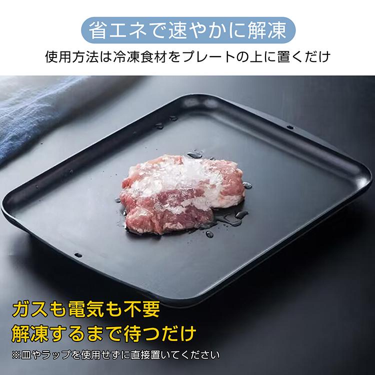 解凍プレート まな板 急速解凍 プレート 解凍まな板 急速冷凍 解凍用