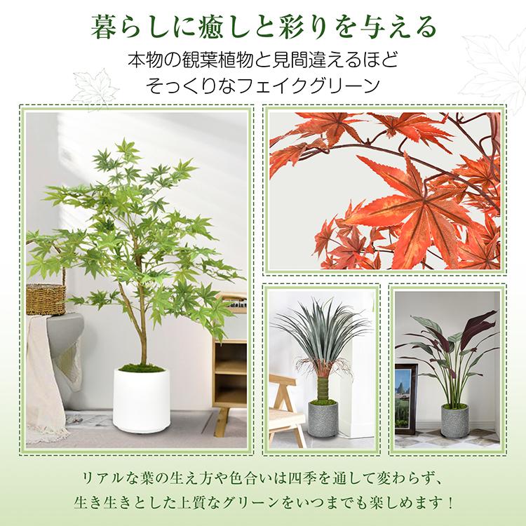 観葉植物 フェイクグリーン 鉢カバー 大型 リアル フェイク グリーン 