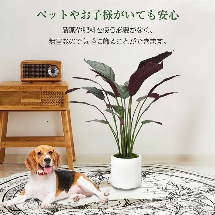 観葉植物 フェイクグリーン 鉢カバー 大型 リアル フェイク グリーン