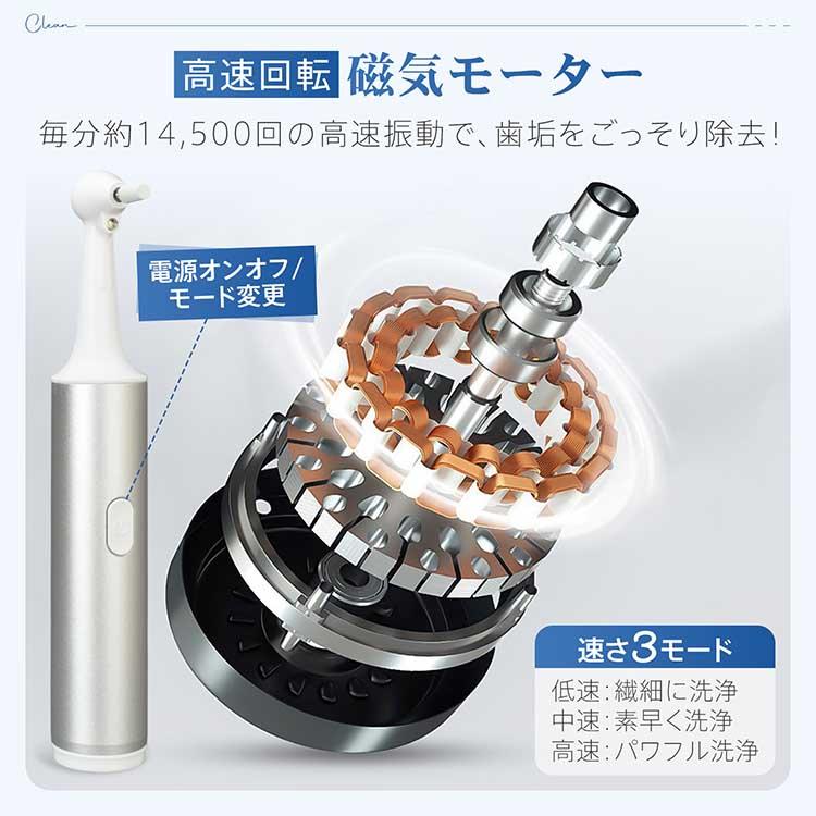 電動歯ブラシ 歯磨き 歯ブラシ 電動 研磨ヘッド付き