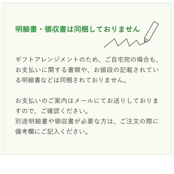 クリスマス プレゼント バルーン ギフト サンタ 浮かせてお届け サンタクロース 送料無料｜luckyducky｜08