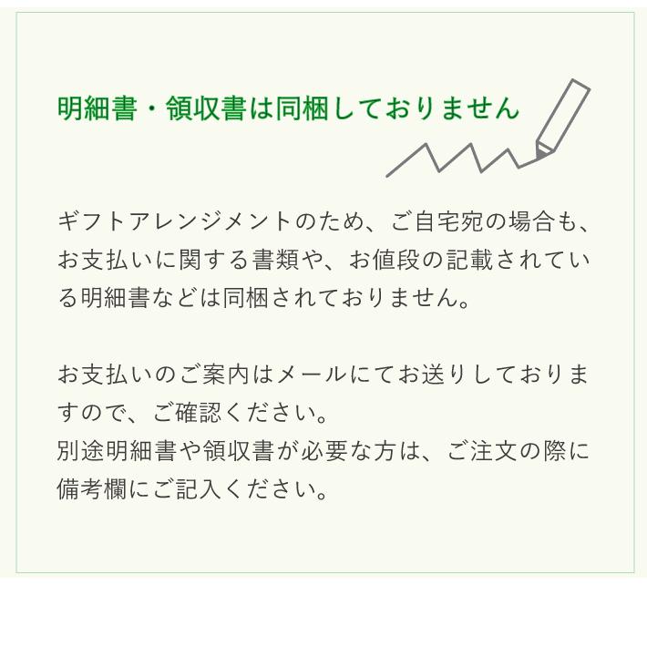 バルーン 誕生日 ギフト ピカチュウ バースデー お祝い 浮かせてお届け  送料無料｜luckyducky｜10