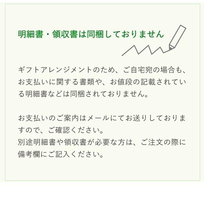 クリスマス プレゼント バルーン ギフト サンタ 浮かせてお届け サンタクロース 送料無料｜luckyducky｜11