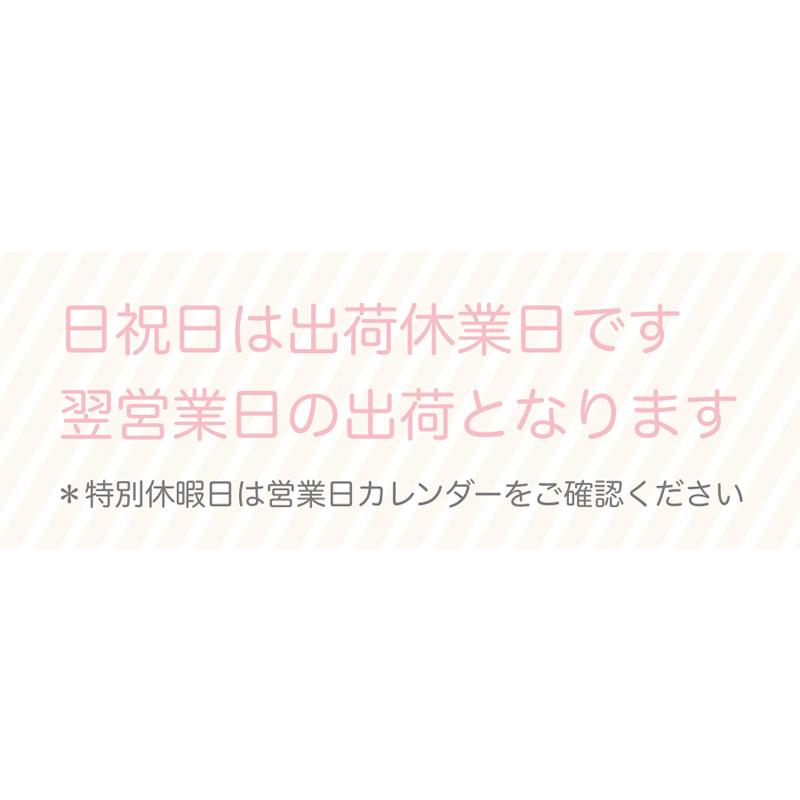 クリスマス プレゼント バルーン ギフト サンタ 浮かせてお届け サンタクロース 送料無料｜luckyducky｜13