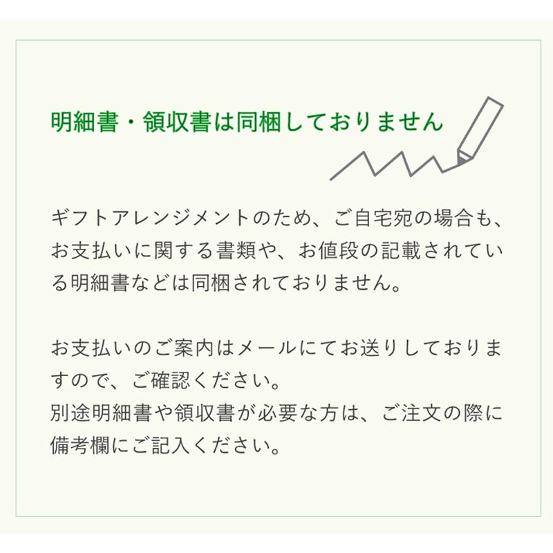 クリスマス プレゼント バルーン ギフト サンタ 浮かせてお届け サンタクロース 送料無料｜luckyducky｜11