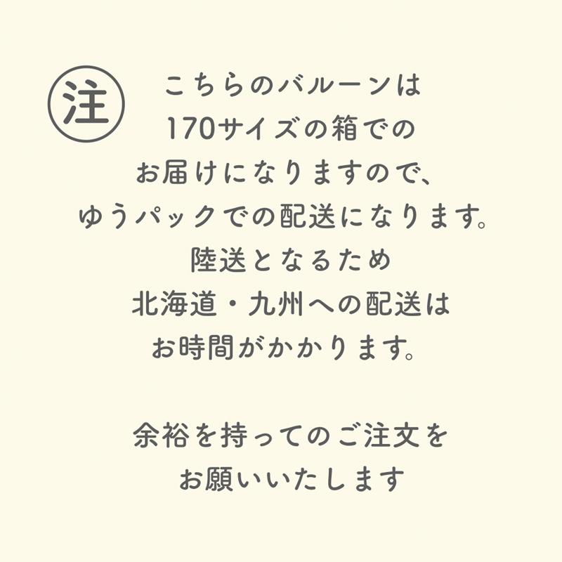 バルーン ギフト バルーン電報 ソフィア 浮かせてお届け お祝い 送料無料｜luckyducky｜17