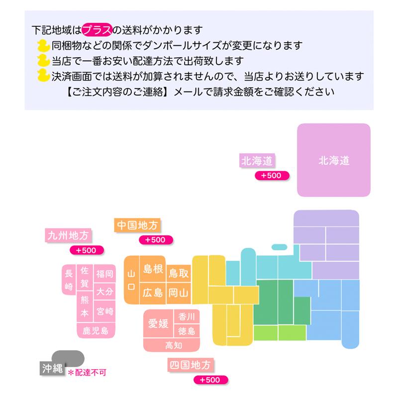 バルーン 誕生日 ギフト パウパトロール パウパト チェイス スカイ キャラクター バブルス 浮かせてお届け お祝い 送料無料 風船 バルーン電報｜luckyducky｜19