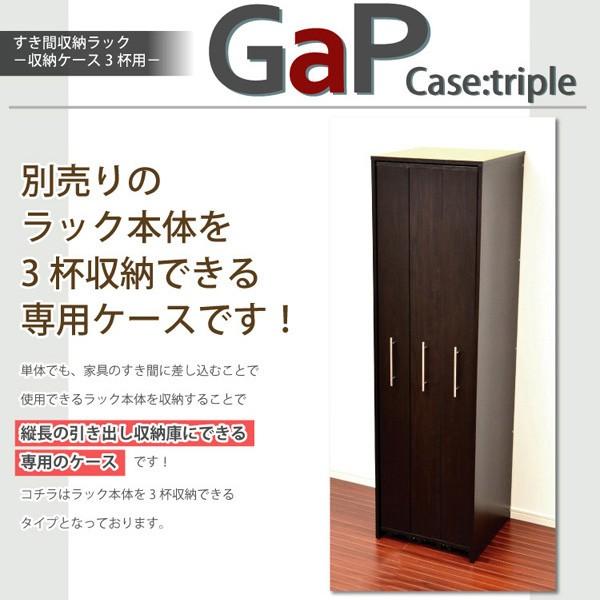 すき間収納ラック【GaP】専用枠 収納ケース3杯用｜luckykagu｜04