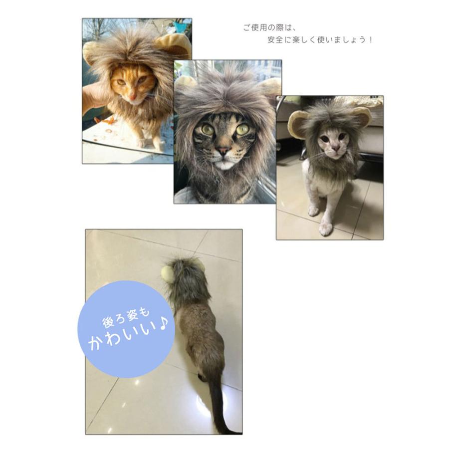 猫用 犬用 被り物 首回り28cm 32cm Sサイズ Mサイズ 帽子 ライオン 変身 仮装 ペット用 ウィッグ コスプレ パーティー イベント ハロウィン 猫 犬 Pet19 ラッキーパンダヤフーショップ 通販 Yahoo ショッピング