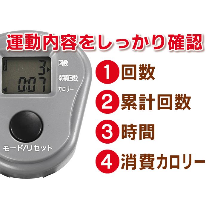 カワセ 鉄人倶楽部 レッグトレーニングDX IMC-104 （ダイエット