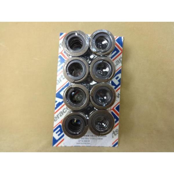 Z1，Z2，KZ1000，KZ1000J，GPZ，ザッパー系用 APE 強化バルブスプリング 72〜85年式 1台分 1セット　VS900K　(5)”R6.10