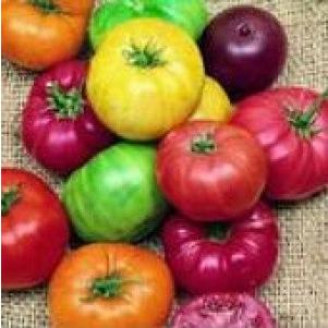 【98%OFF!】 注文後の変更キャンセル返品 種類が多い カラフルなトマト 種 10粒 jkparker.ca jkparker.ca