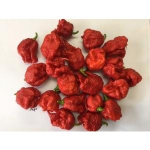 世界一位のスーパー超激辛唐辛子 キャロライナ リーパー 種 4粒 1 Luckyseed 通販 Yahoo ショッピング