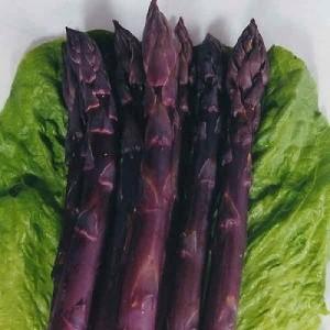 世界十大最高級野菜 59％以上節約 正規品 幻の純紫アスパラガス 種 F1品種 4粒
