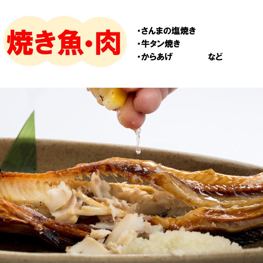 レモン果汁 100% 1L 業務用 製菓用 チューハイ用 着色料不使用