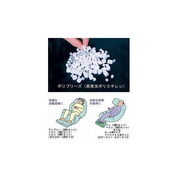 新作マット・カーペット アイ・ソネックス ナーセントミニ ／2個1セット(代引不可) 【V2023453783】(10923円)