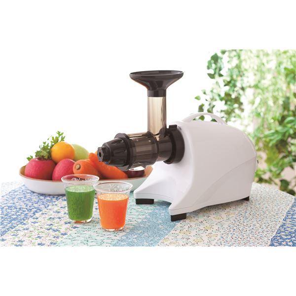 最も優遇 低速ジューサー キッチン家電 搾る おろす 挽く 練る 混ぜる 刃不使用 ベジフル 想像を超えての Euroimpex Lv