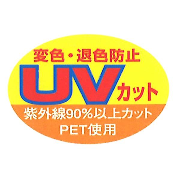 〔POPフレーム〕軽いフレーム・UVカットPET付 ポスターフレームアルミB3（515×364mm） ブラック(代引不可)｜luckytail2｜06