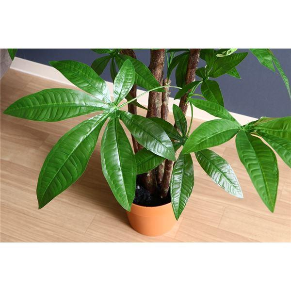新品未使用 人工観葉植物 インテリアグリーン パキラ スタンダード 7号鉢対応 リビング 店舗 ショップ お店 Ds 人気オススメ商品が安い店よしお 通販 Yahoo ショッピング 販促通販 Clinicaaldente Es