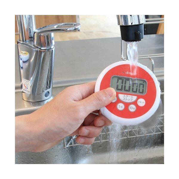 21高い素材 ドリテック まとめ 洗えるタイマー 3セット 1個 T 533gnha グリーン その他食器 カトラリー Www 11thspace Com