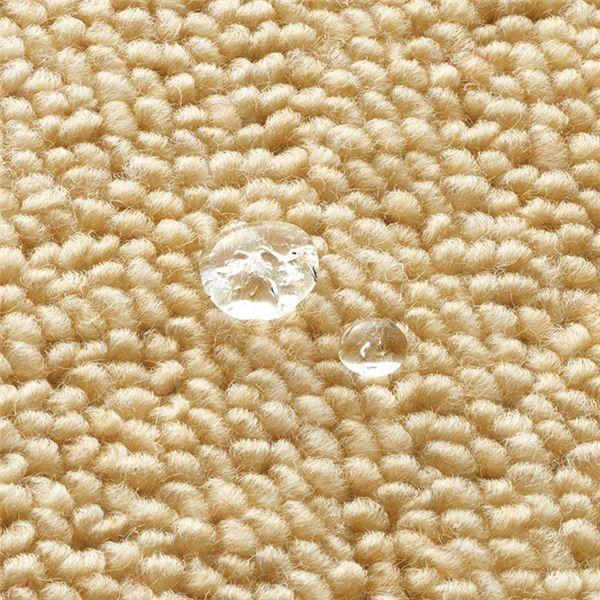 注目の 防音 撥水 抗菌防臭カーペット ピンク 江戸間8畳 ポリエステル100 フリーカット可 日本製 Ds 良品が安い 輸入雑貨 幸運のしっぽ 通販 Yahoo ショッピング 新品本物 Dp3akb Jatengprov Go Id