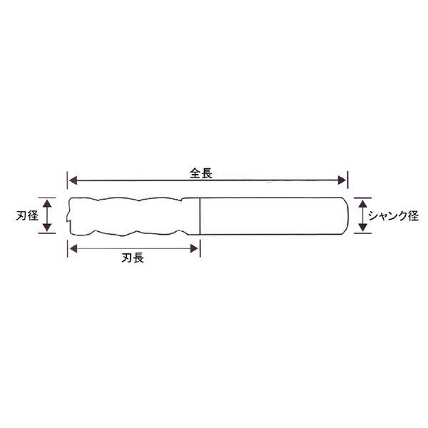 PROCHI PRV-T06M4R0.5 超硬ラジアスエンドミル 6mm R0.5 V(代引不可)｜luckytail｜02