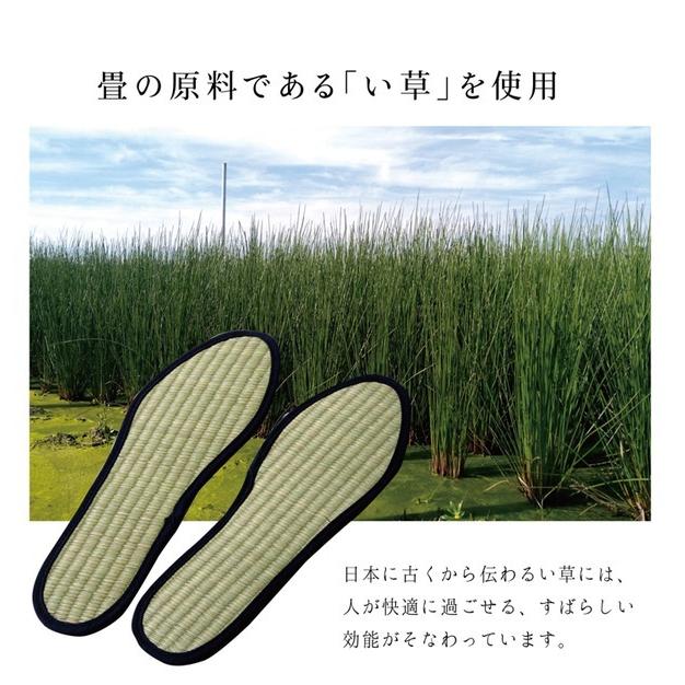 い草 インソール 中敷き ネイビー メンズ 約31cm 消臭 湿度調整 綿 麻 靴 シューズ スニーカー 運動靴 代引不可 ラウンド