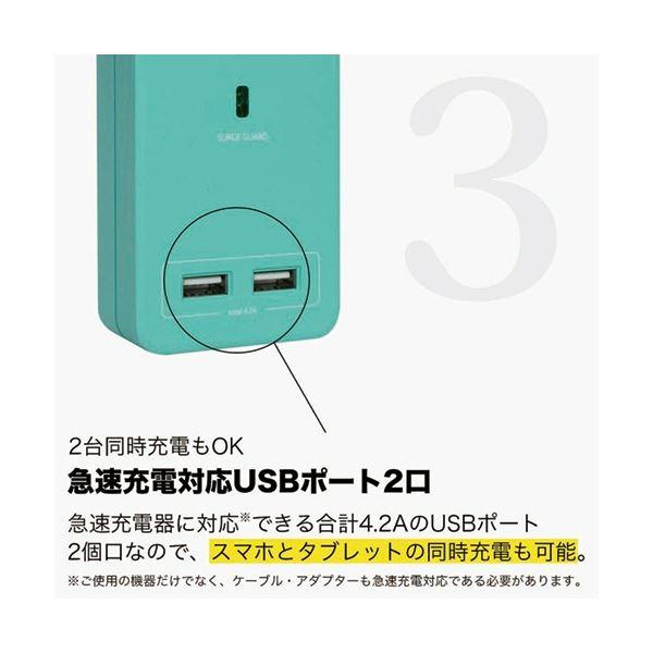 ファーゴ SATI COLOR電源タップ AC4個口+USB2ポート ブルー CT221BL 1個(代引不可)｜luckytail｜05