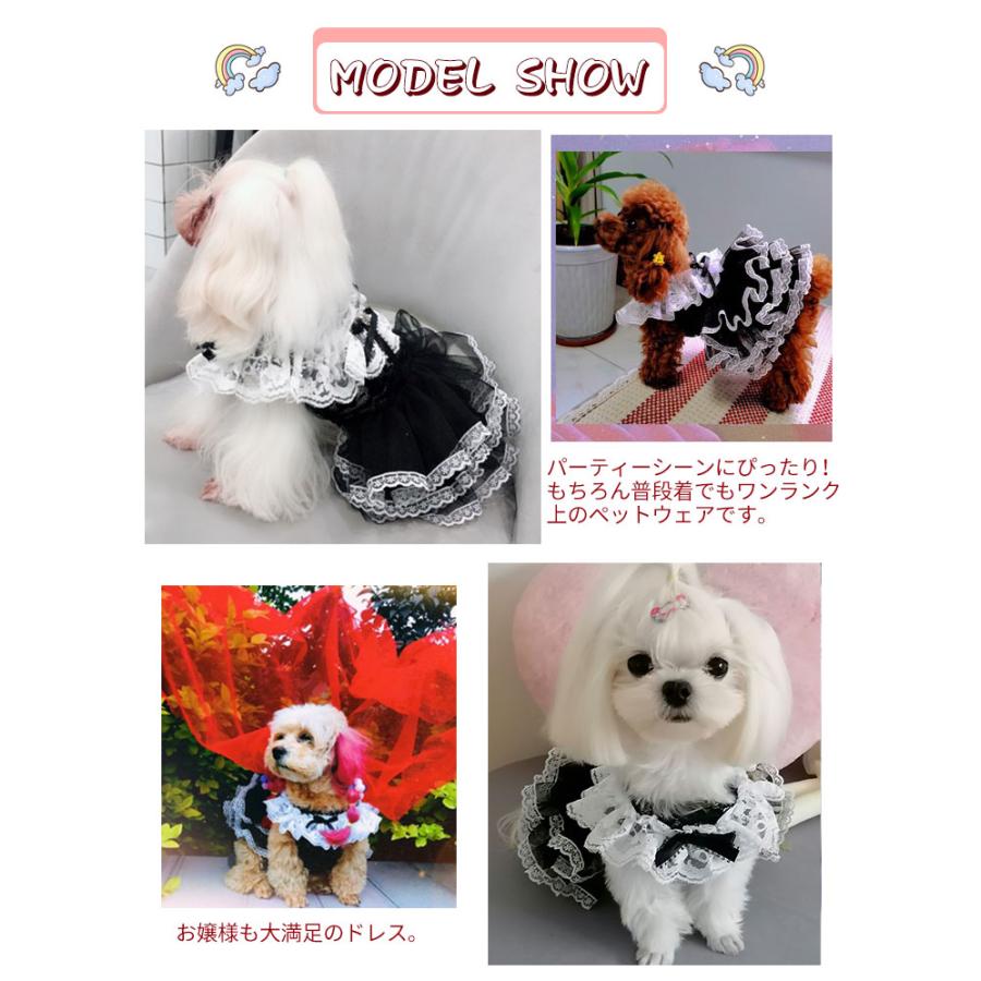 Cannana ポメラニアン ドレス 犬 アクセサリー 春 角度一定スタンド式